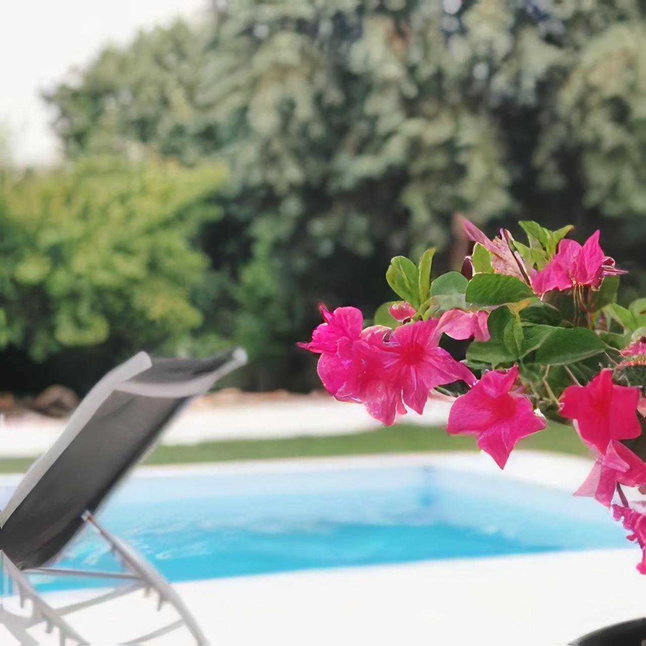 Meio Country House Alcanede Экстерьер фото